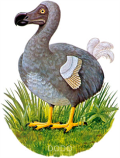 The Dodo Bird Mauritius